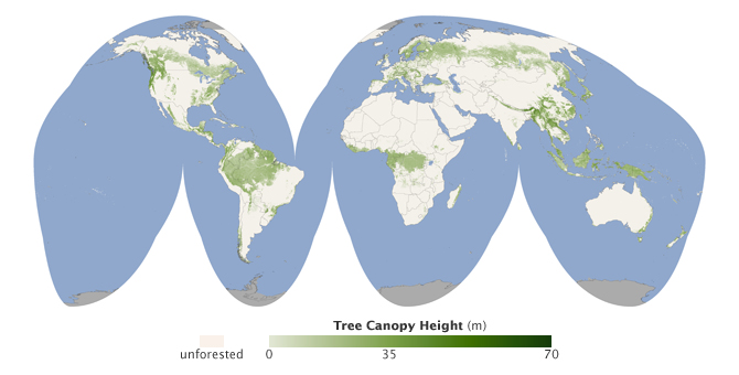 new global tree canopy height map