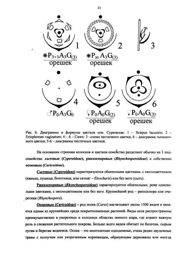 Диаграмма цветка расшифровка