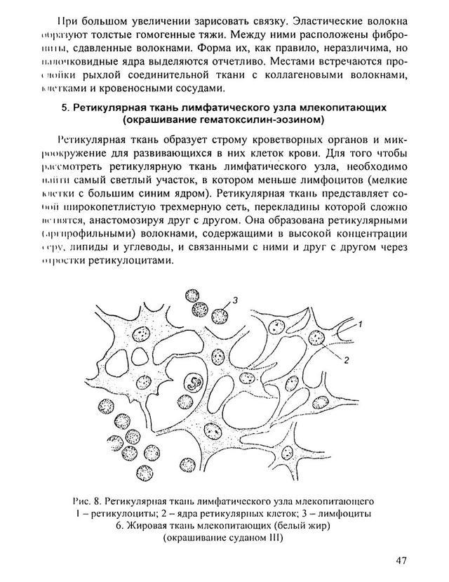 Гистология схемы таблицы и ситуационные задачи по частной гистологии человека виноградов